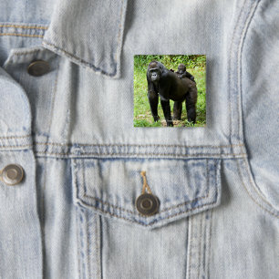 Infant Lowland Gorilla on Mother's Back 2 Inch Square Button