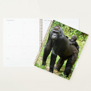 Infant Lowland Gorilla on Mother's Back Planner