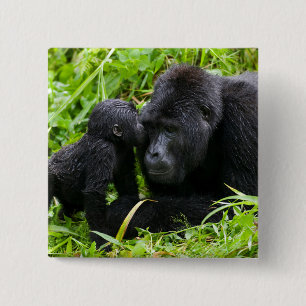 Infant Mountain Gorilla Kisses Silverback Gorilla 2 Inch Square Button
