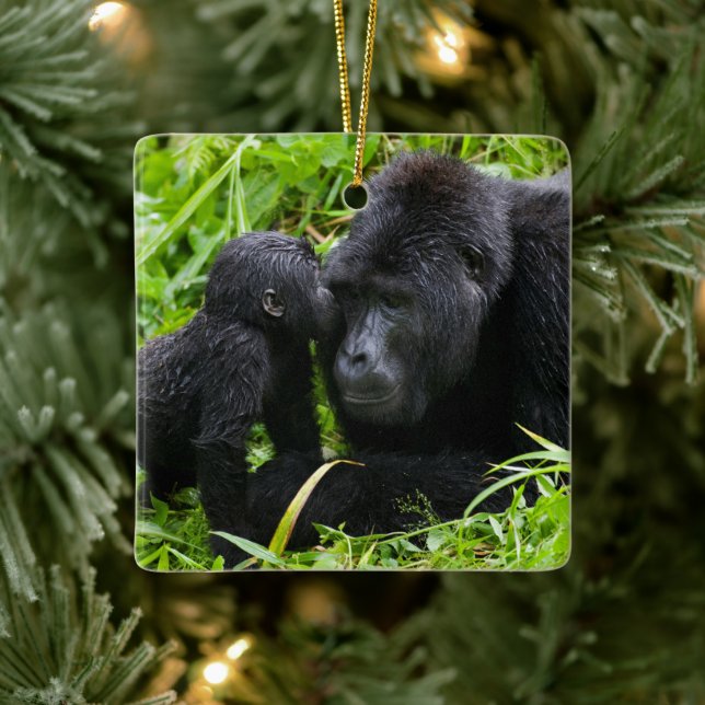 Infant Mountain Gorilla Kisses Silverback Gorilla Ceramic Ornament (Tree)