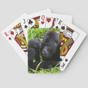 Infant Mountain Gorilla Kisses Silverback Gorilla Playing Cards