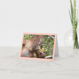 Infant Orangutan With Tropical Flower Card