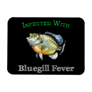 Infected With Bluegill Fever Magnet