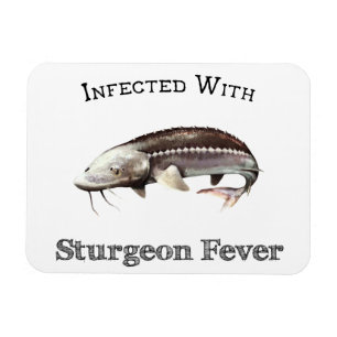 Infected With Sturgeon Fever Magnet