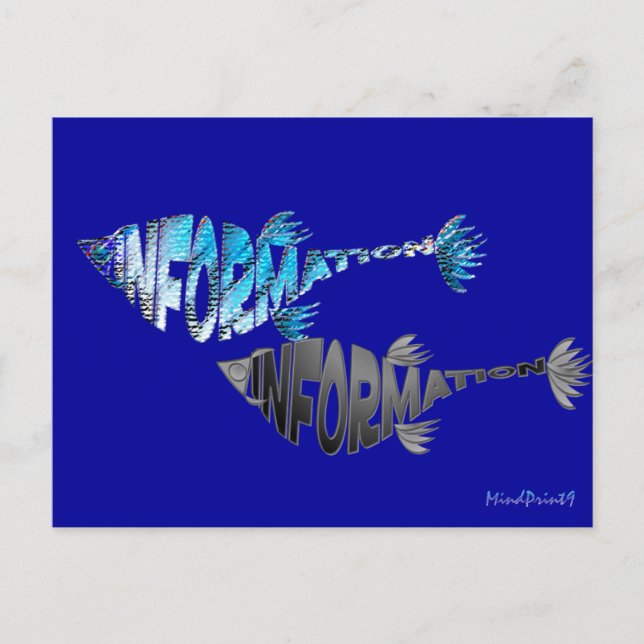 Info Fish Postcard (Front)
