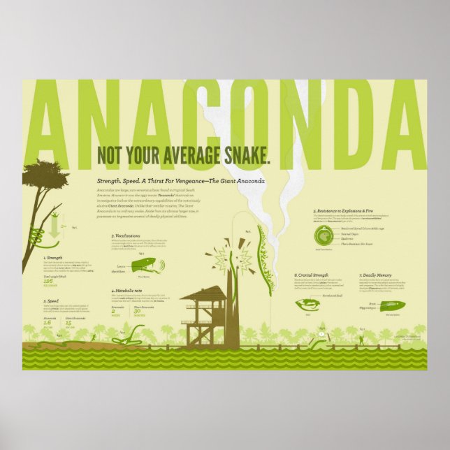 Infographic: Anaconda Poster (Front)