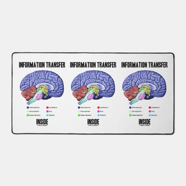 Information Transfer Inside Brain Anatomy Humour Desk Mat (Front)