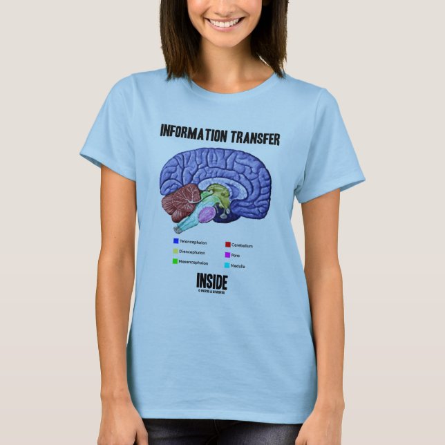 Information Transfer Inside (Brain Anatomy) T-Shirt (Front)