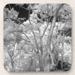 Infra red of trees buildings and trails in Las 2 Coaster