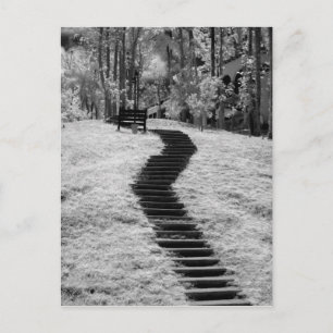 Infra red of trees buildings and trails in Las Postcard