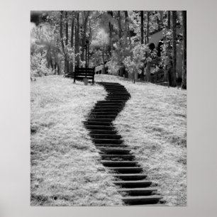 Infra red of trees buildings and trails in Las Poster