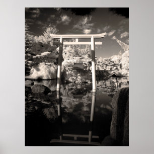 Infrared Garden Photograph Poster