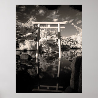 Infrared Garden Photograph Poster