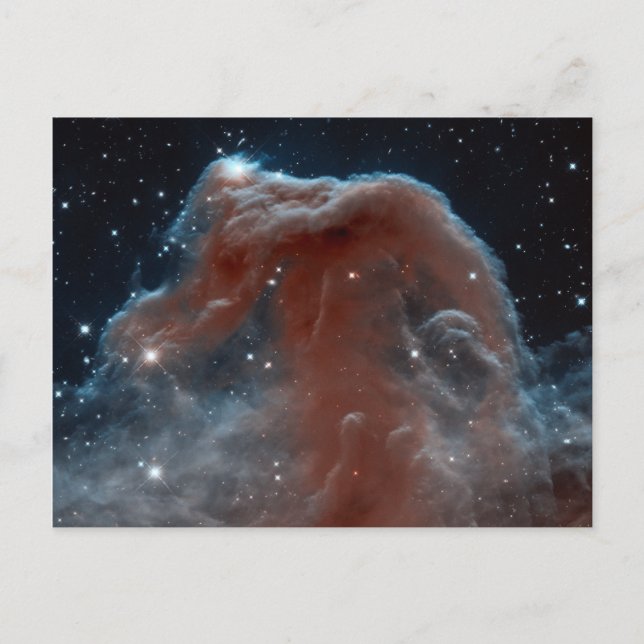 Infrared Horsehead Nebula Postcard (Front)