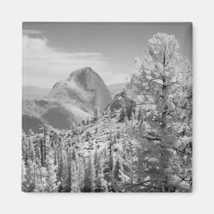 Infrared photo in East side of Yosemite National 2 Magnet