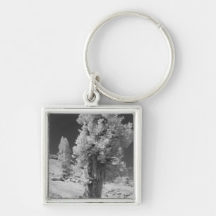 Infrared photo in East side of Yosemite National Keychain