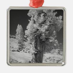 Infrared photo in East side of Yosemite National Metal Ornament