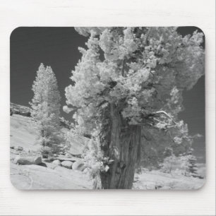 Infrared photo in East side of Yosemite National Mouse Pad