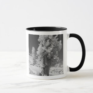 Infrared photo in East side of Yosemite National Mug