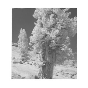Infrared photo in East side of Yosemite National Notepad
