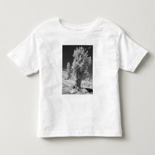 Infrared photo in East side of Yosemite National Toddler T-shirt