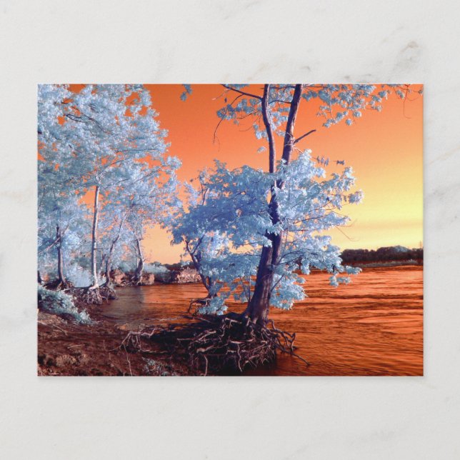 Infrared riverscape postcard (Front)