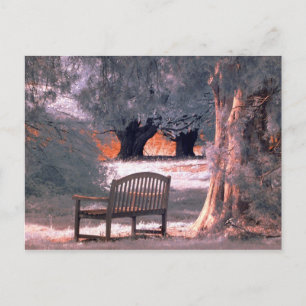 Infrared solitude postcard