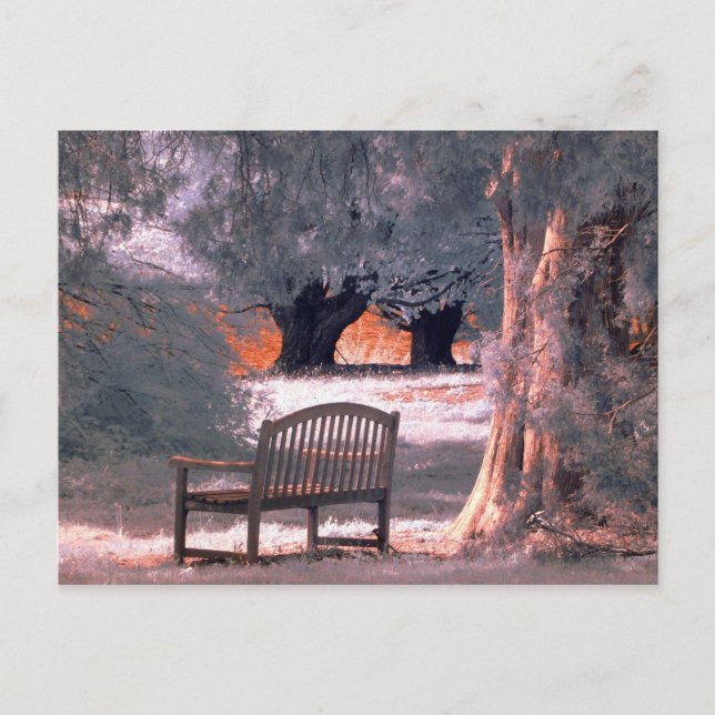 Infrared solitude postcard (Front)