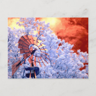 Infrared Windmill Postcard