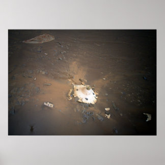Ingenuity Mars Helicopter/ Perseverance Backshell Poster