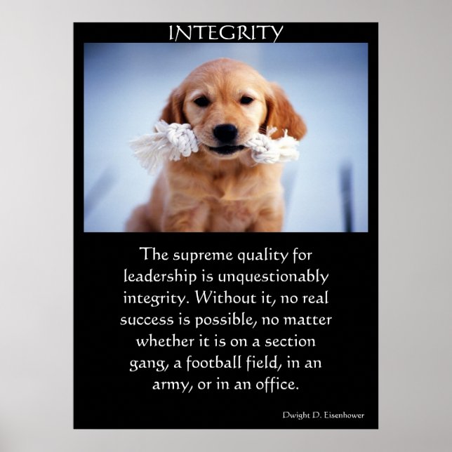 INGRITY Golden Retriever pupy with a white rope Poster (Front)