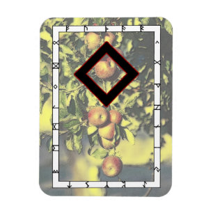 Ingwaz Viking Rune Magnet - Héros !