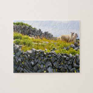 Inisheer Aran Islands Galway Ireland. Jigsaw Puzzle
