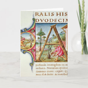 Initiale "A" de Historiated dépeignant