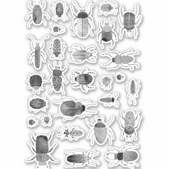 Ink Bug and Beetle Insect (Front)