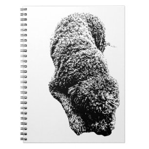 Ink Curl Reflections Notebook