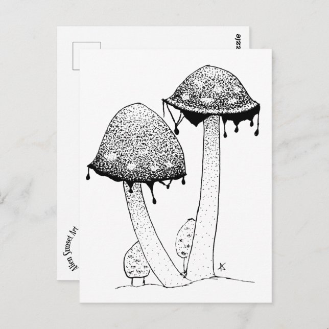 Inkycap Postcard (Front/Back)