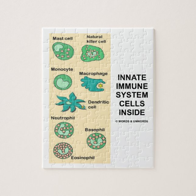 Innate Immune System Cells Inside Immunology Jigsaw Puzzle (Vertical)