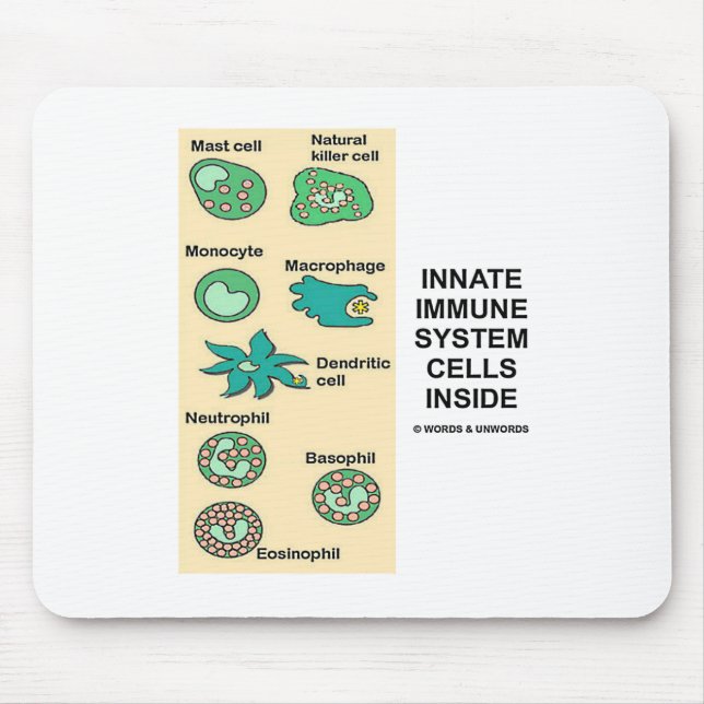 Innate Immune System Cells Inside Mouse Pad (Front)