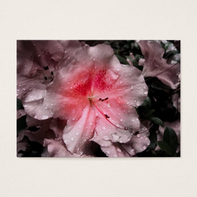 Inner Glow Bookmarks (Front)