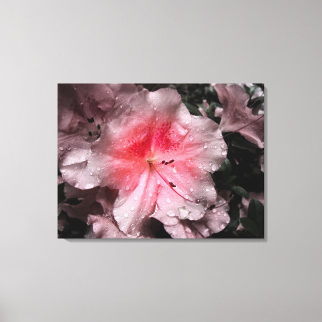 Inner Glow Canvas Print (Front)