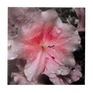 Inner Glow Decorative Tile