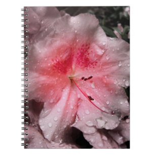Inner Glow Notebook