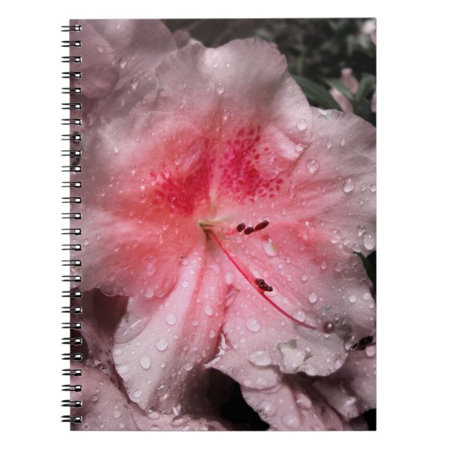 Inner Glow Notebook (Front)