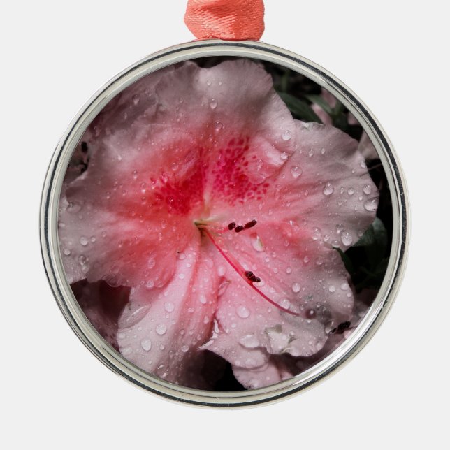 Inner Glow Ornament (Front)