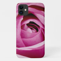 Inner Petals of Rose Bud
