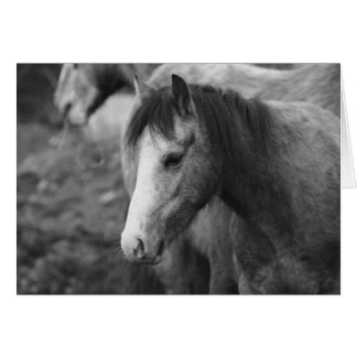 Innocence by CatMac