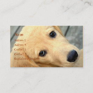 Innocent Abby Business Card