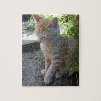 Innocent Cat Puzzle