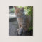 Innocent Cat Puzzle